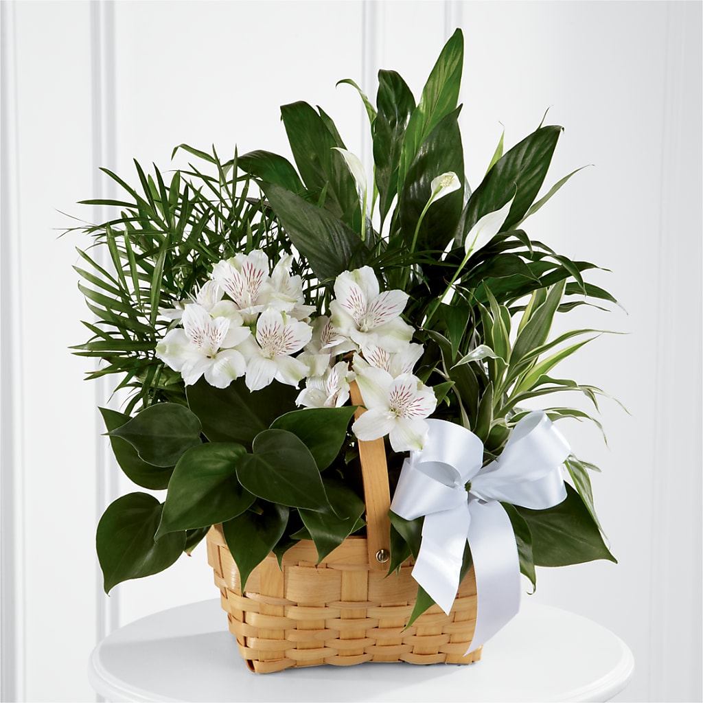 Peace & Serenity Dishgarden – Creative Florist, Cherry Valley MA