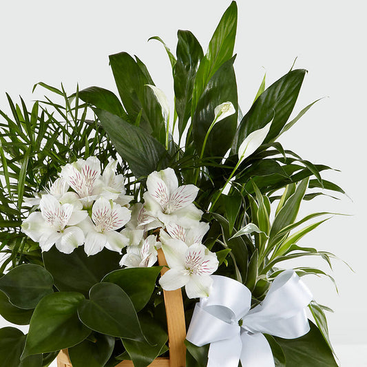 Peace & Serenity Dishgarden – Creative Florist, Cherry Valley MA