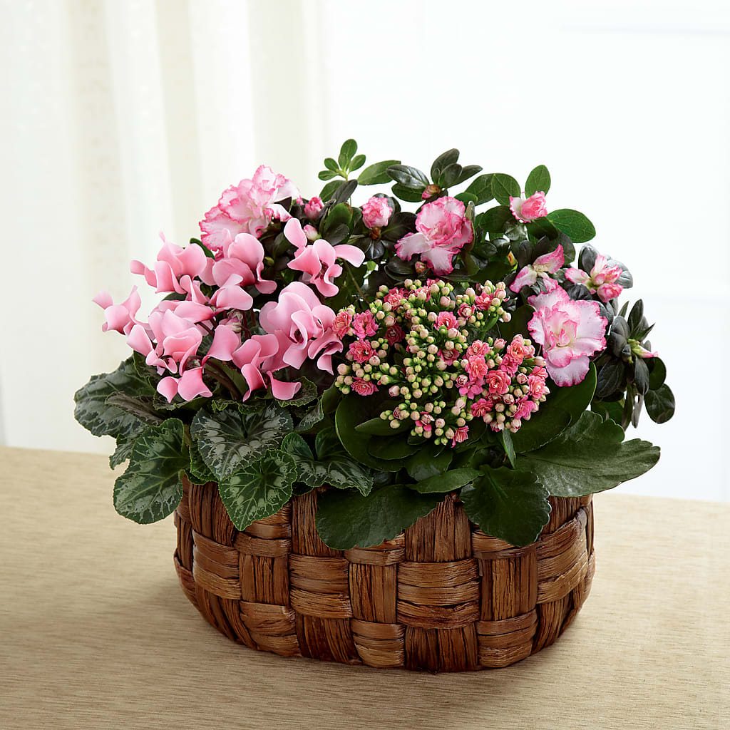 Pink Assortment – Creative Florist, Cherry Valley MA