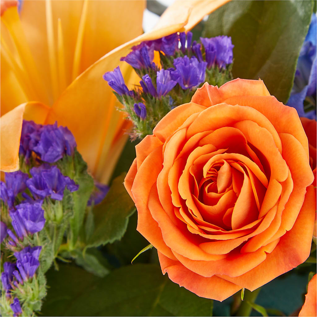 Radiant Citrus Box Bouquet – Creative Florist, Cherry Valley MA