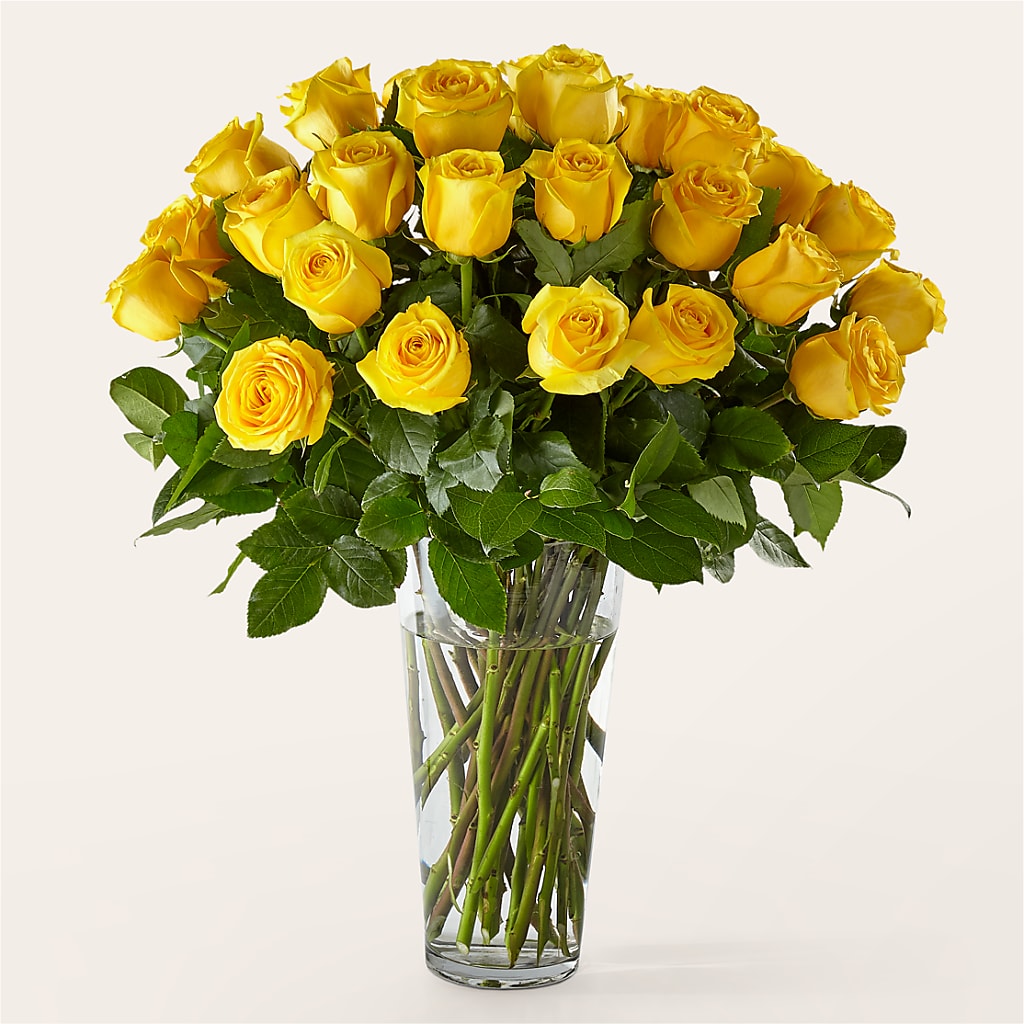 Long Stem Yellow Rose Bouquet – Creative Florist, Cherry Valley MA