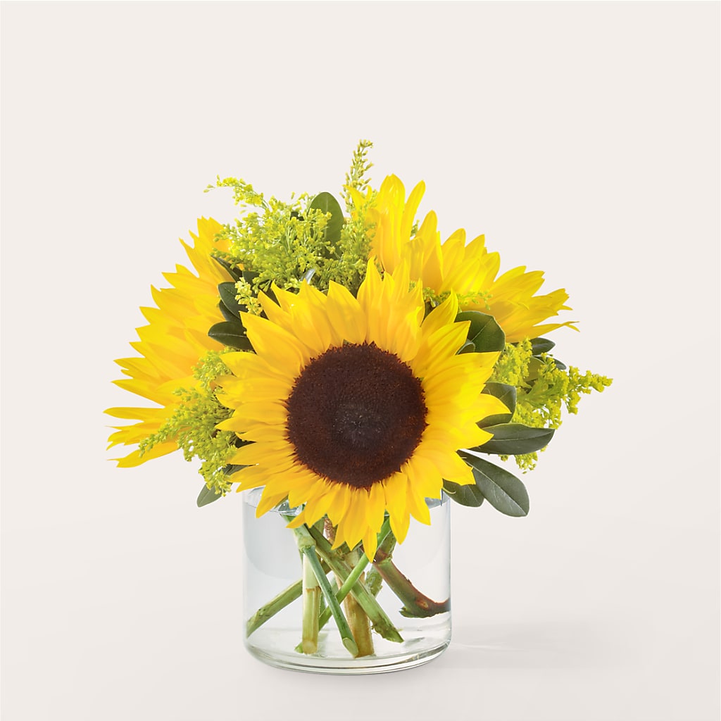 Beaming Sunflower Bouquet – Creative Florist, Cherry Valley MA