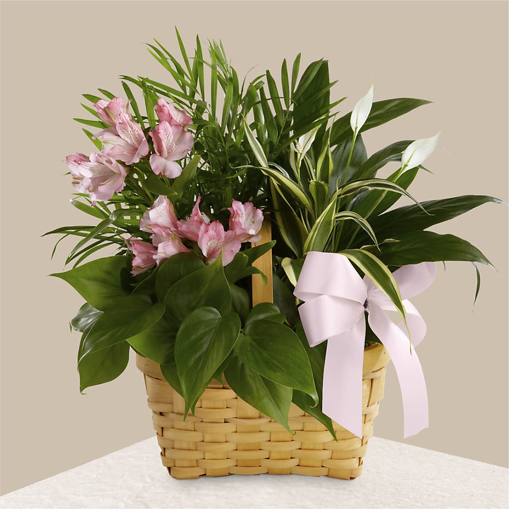 Living Spirit Dishgarden – Creative Florist, Cherry Valley MA