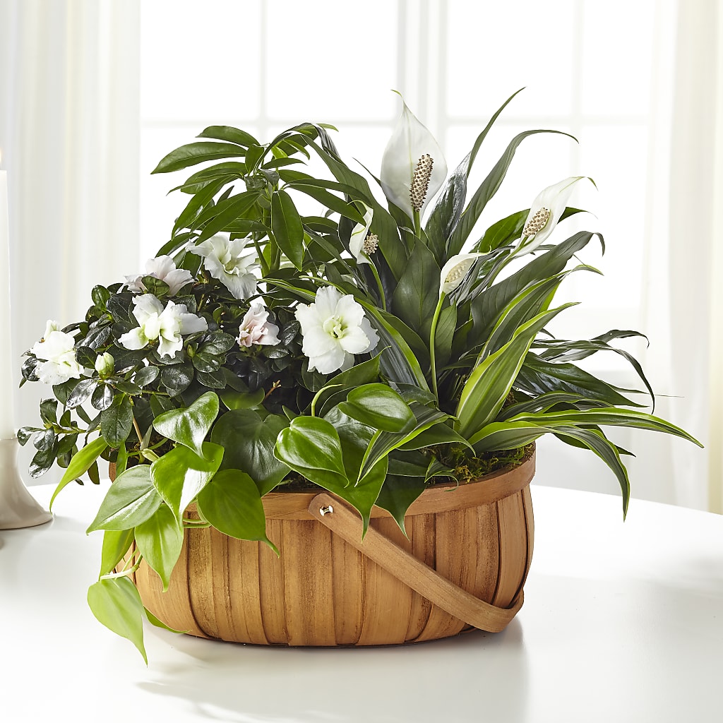 Serene Dishgarden – Creative Florist, Cherry Valley MA