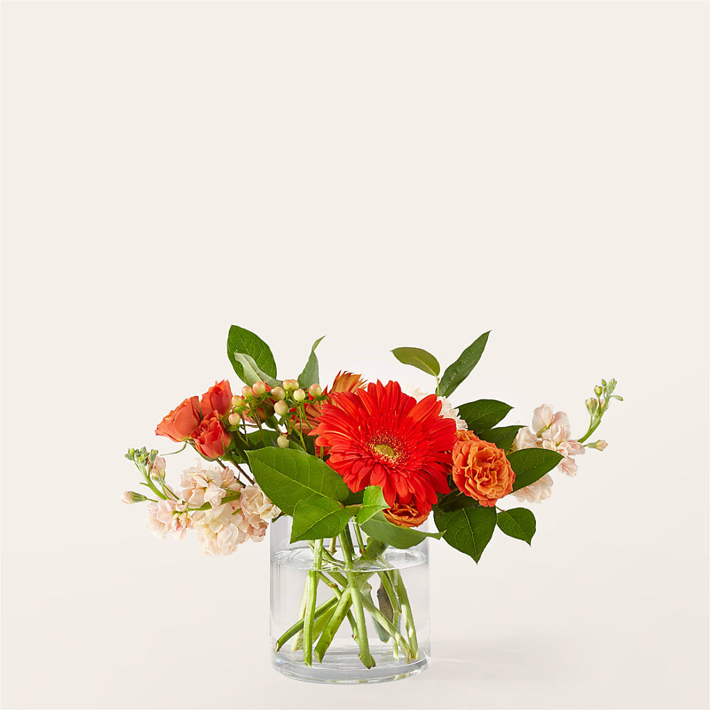 Paloma Please Bouquet – Creative Florist, Cherry Valley MA