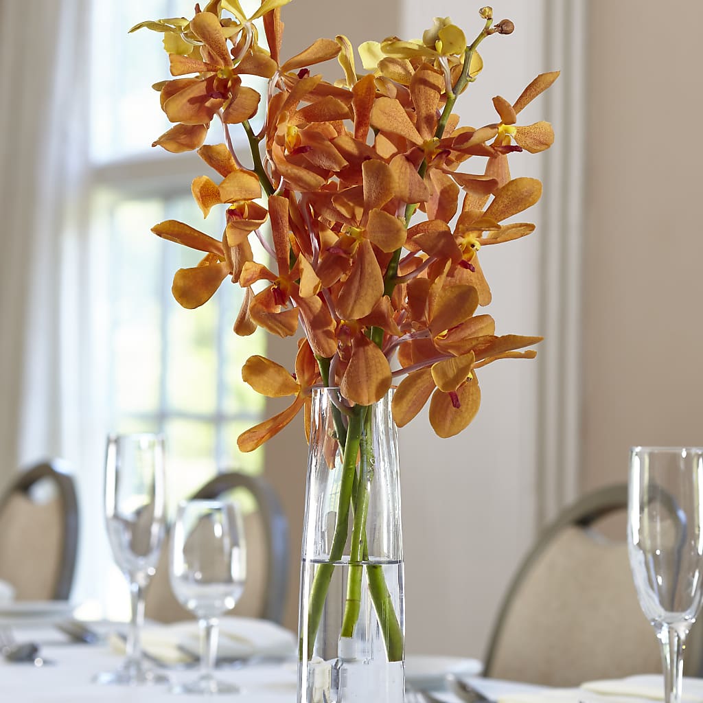 Orange Mokara Bud Vase – Creative Florist, Cherry Valley MA