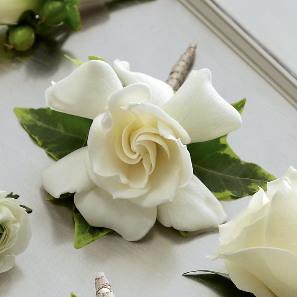 Gardenia Boutonniere – Creative Florist, Cherry Valley MA