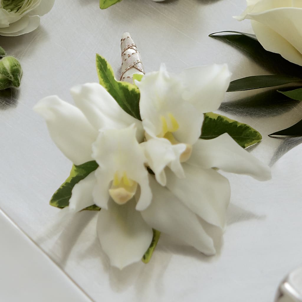 White Mini Cymbidium Boutonniere – Creative Florist, Cherry Valley MA