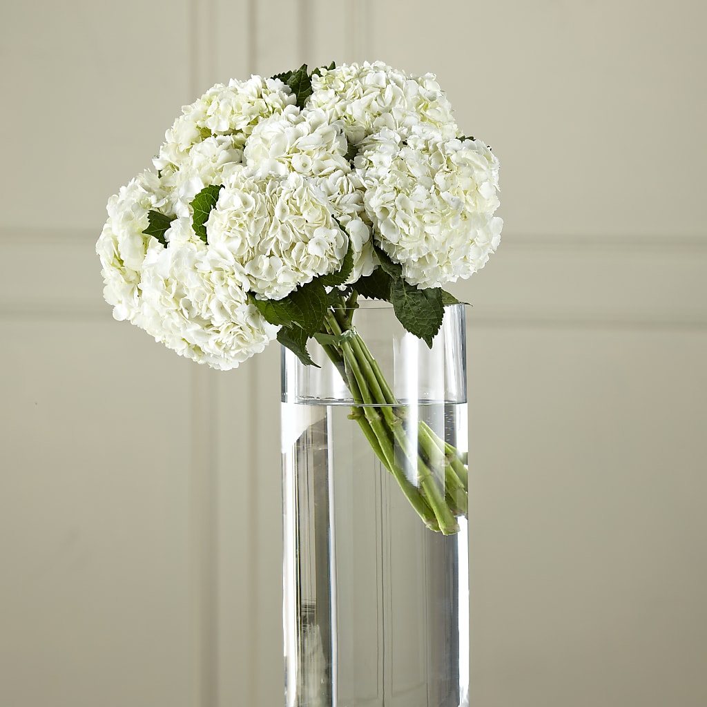 White Hydrangea Hand-Tied Bouquet – Creative Florist, Cherry Valley MA