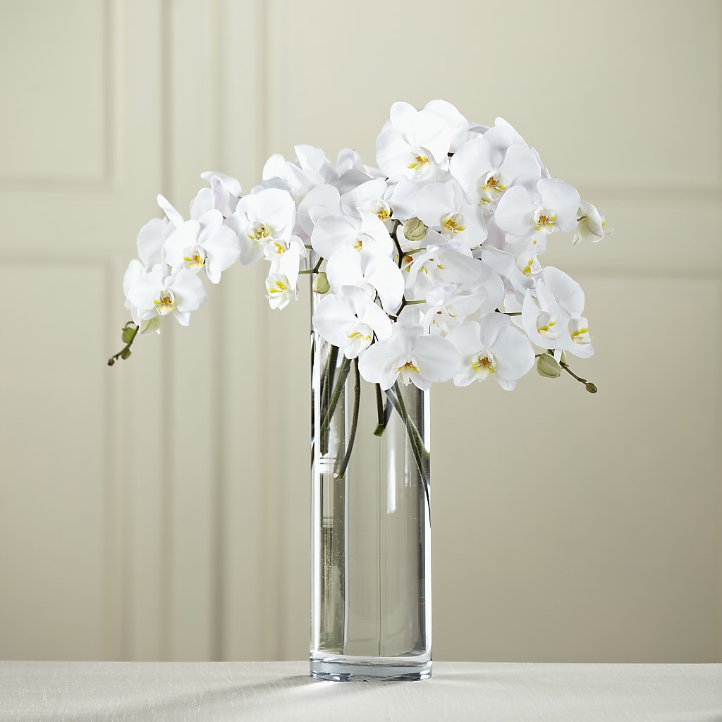White Phalaenopsis Bouquet – Creative Florist, Cherry Valley MA