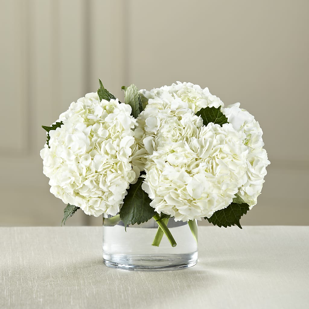 White Hydrangea Bouquet – Creative Florist, Cherry Valley MA