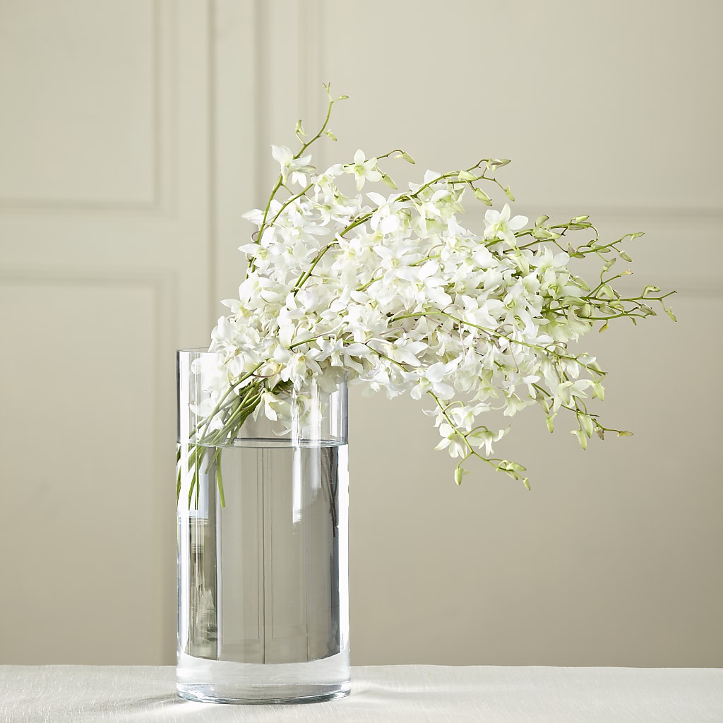 White Dendrobium Bouquet – Creative Florist, Cherry Valley MA