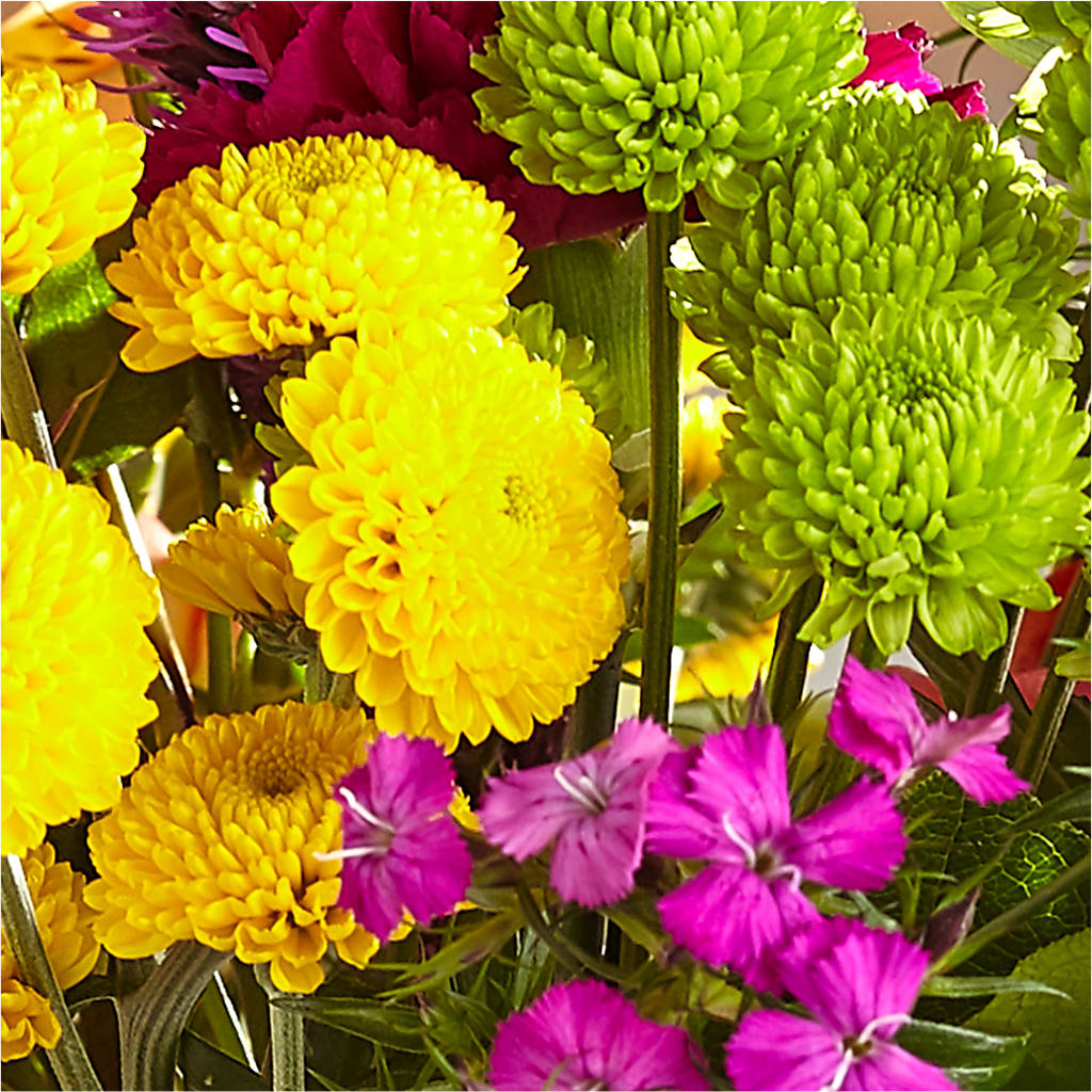 Bold & Bright – A Florist Original –  Creative Florist, Cherry Valley MA