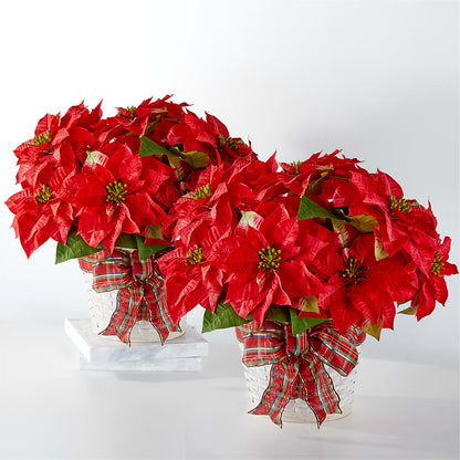 Happiest Holidays Poinsettia Bundle –  Creative Florist, Cherry Valley MA