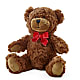 Adorable Plush Bear –  Creative Florist, Cherry Valley MA