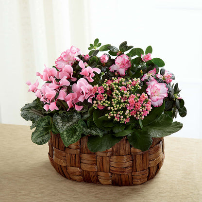 Pink Assortment –  Creative Florist, Cherry Valley MA
