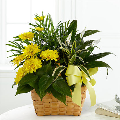 Loving Light Dishgarden –  Creative Florist, Cherry Valley MA