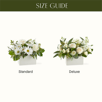 Fresh Linen Box Bouquet –  Creative Florist, Cherry Valley MA