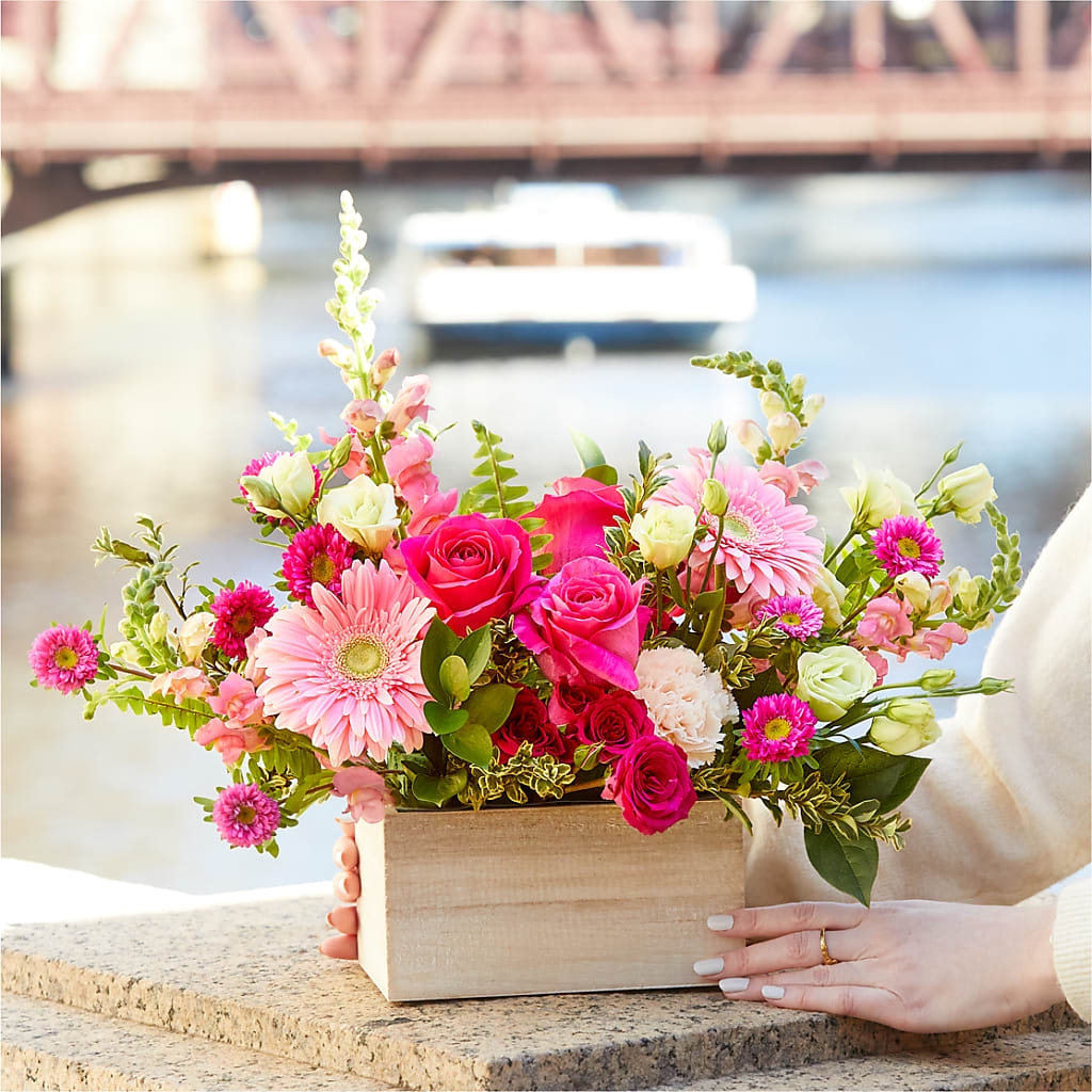 Too Cute Bouquet –  Creative Florist, Cherry Valley MA