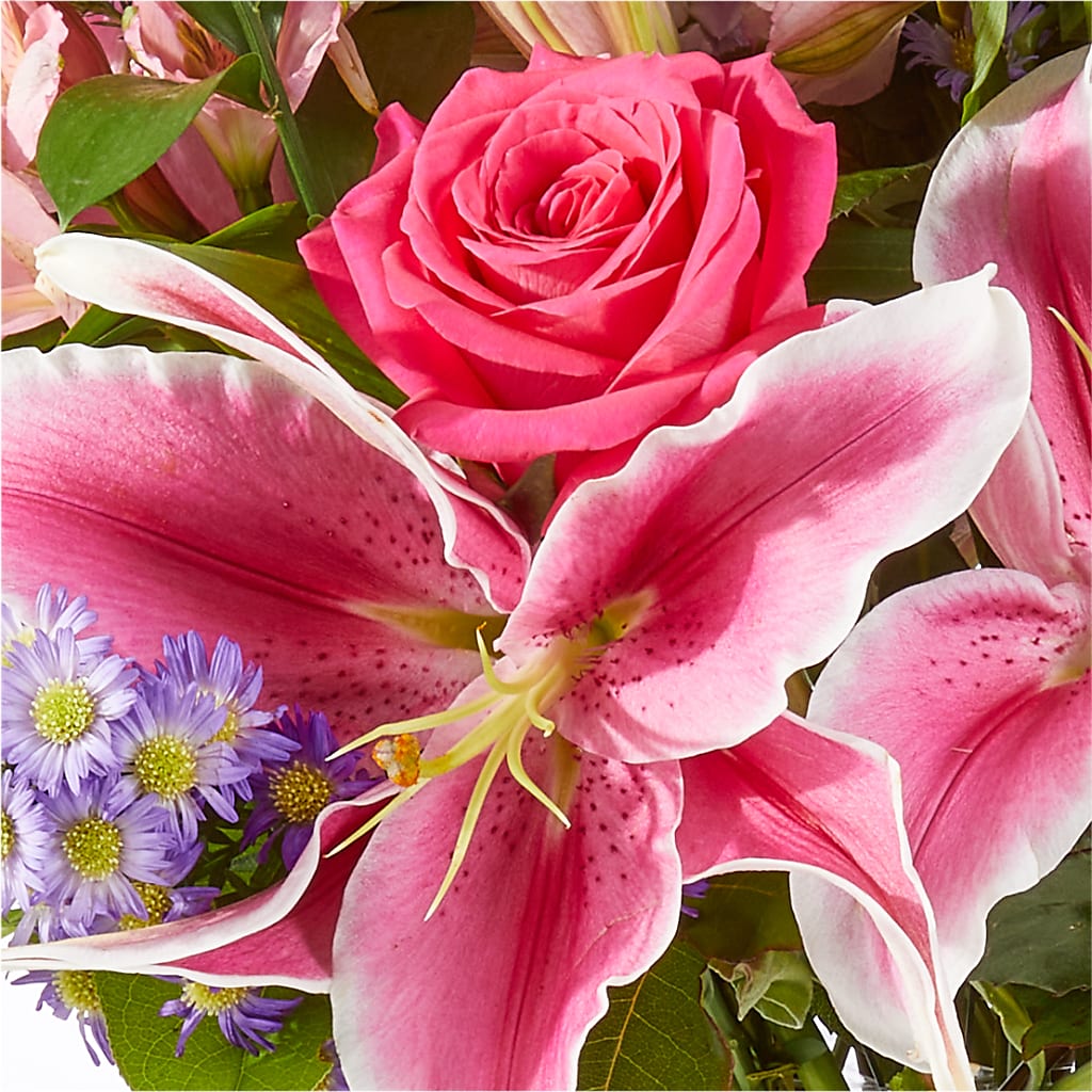 Written in the Stars Bouquet –  Creative Florist, Cherry Valley MA