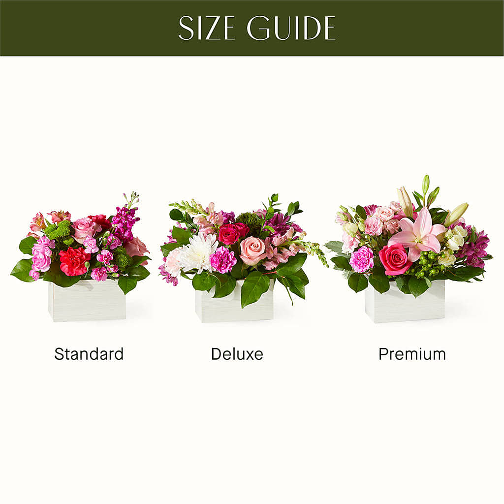 Sweetberry Box – A Florist Original –  Creative Florist, Cherry Valley MA