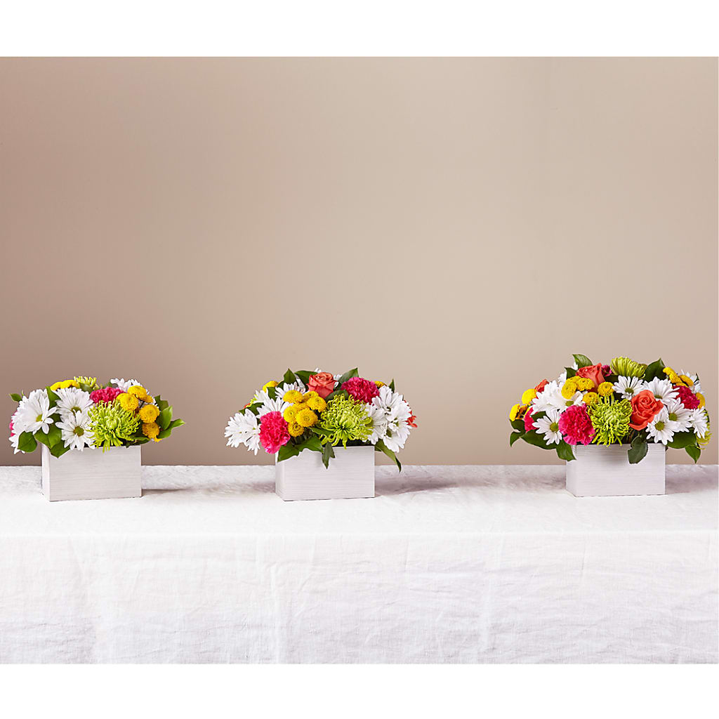 Sorbet Bouquet –  Creative Florist, Cherry Valley MA