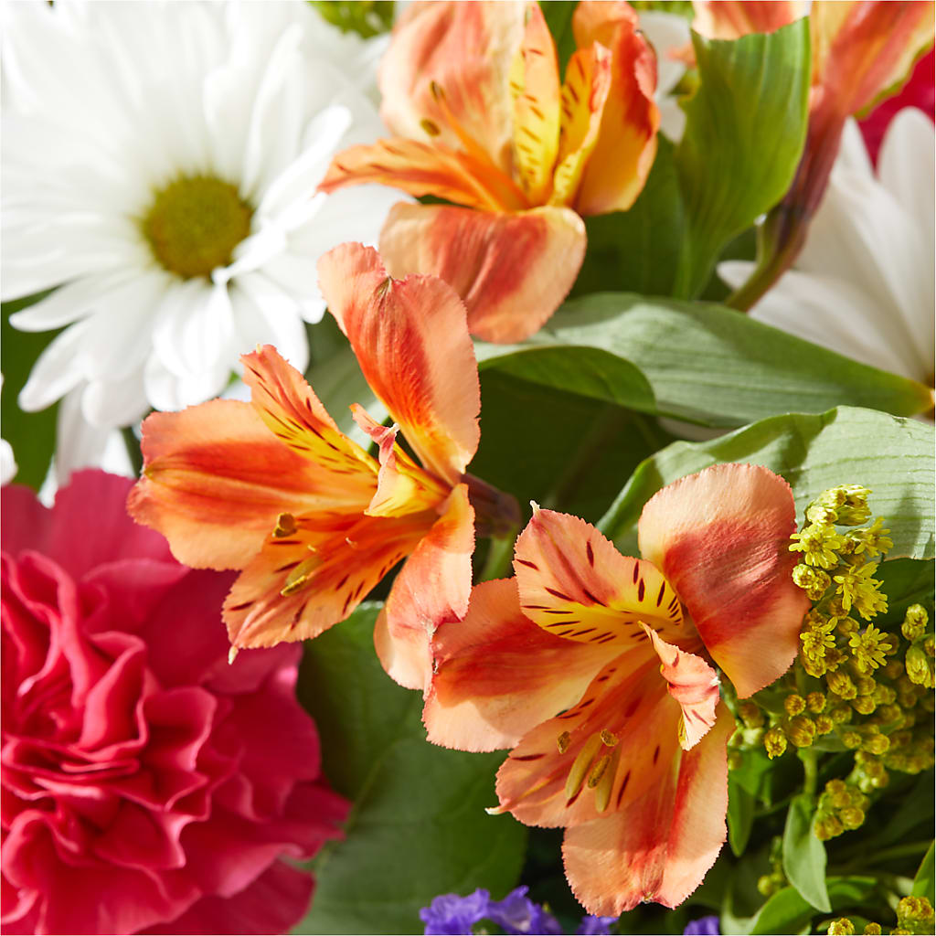 Oopsie Daisy Box Bouquet –  Creative Florist, Cherry Valley MA