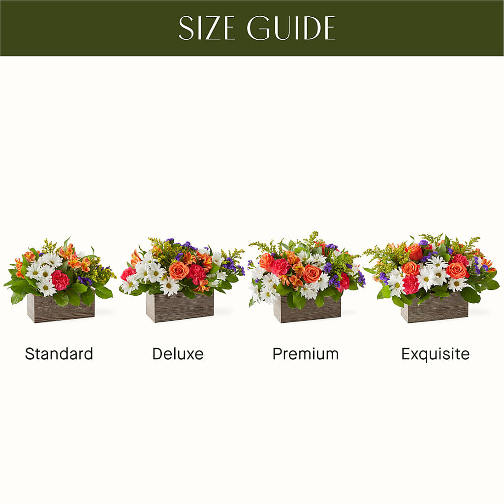 Oopsie Daisy Box Bouquet –  Creative Florist, Cherry Valley MA