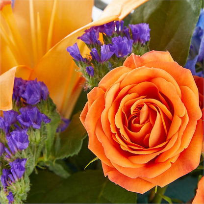 Radiant Citrus Box Bouquet –  Creative Florist, Cherry Valley MA