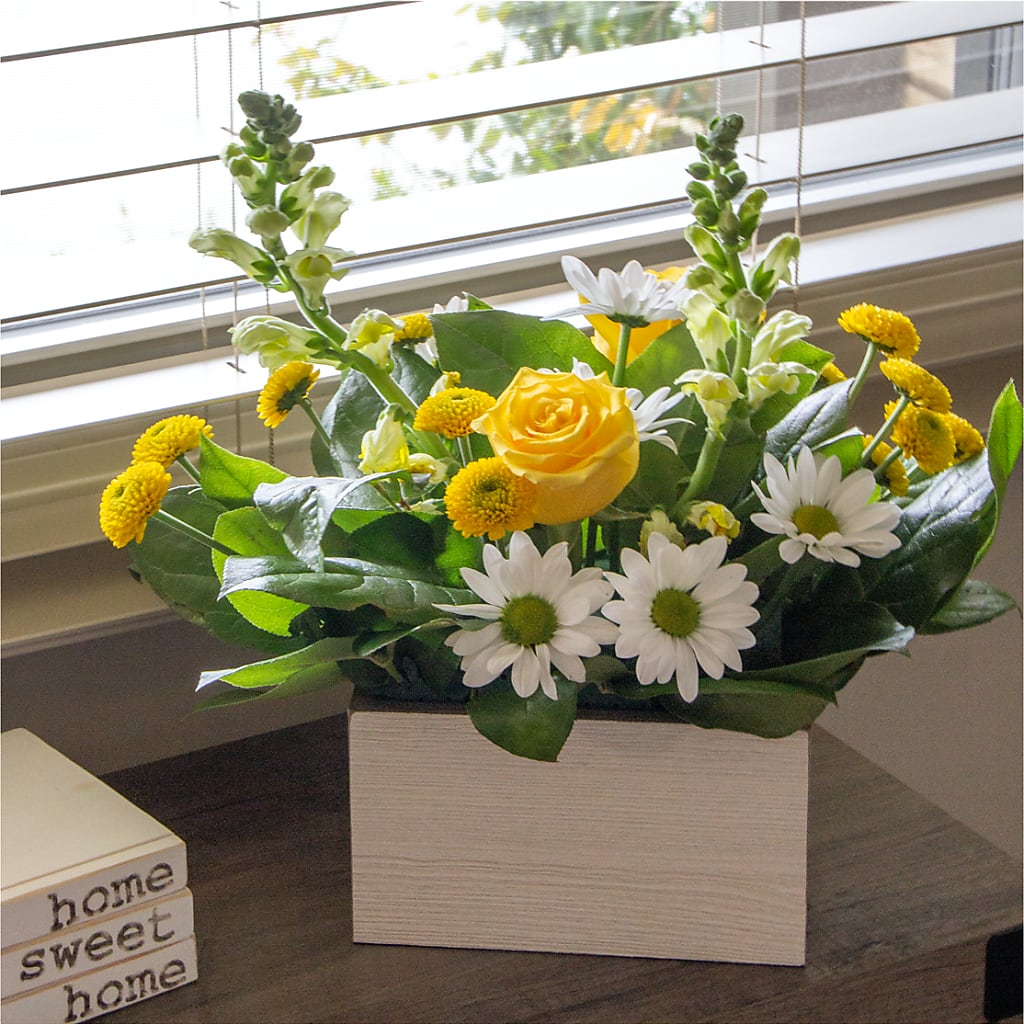 Sun Salutation Box Bouquet –  Creative Florist, Cherry Valley MA