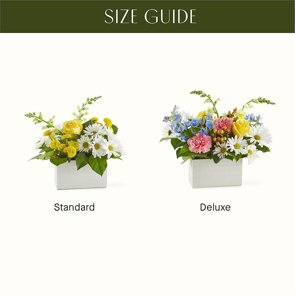 Sun Salutation Box Bouquet –  Creative Florist, Cherry Valley MA