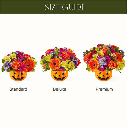 Tricks & Treats Pumpkin –  Creative Florist, Cherry Valley MA