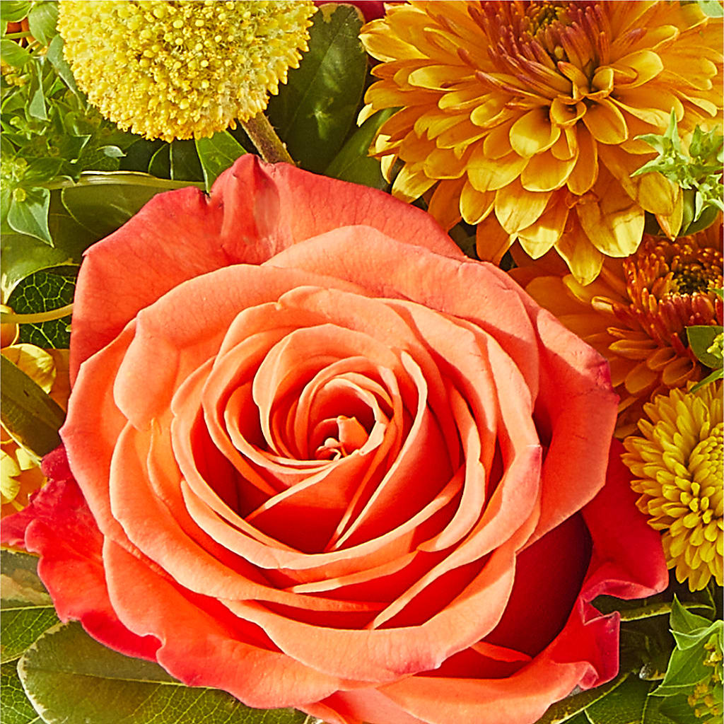Gourdgeous Pumpkin –  Creative Florist, Cherry Valley MA