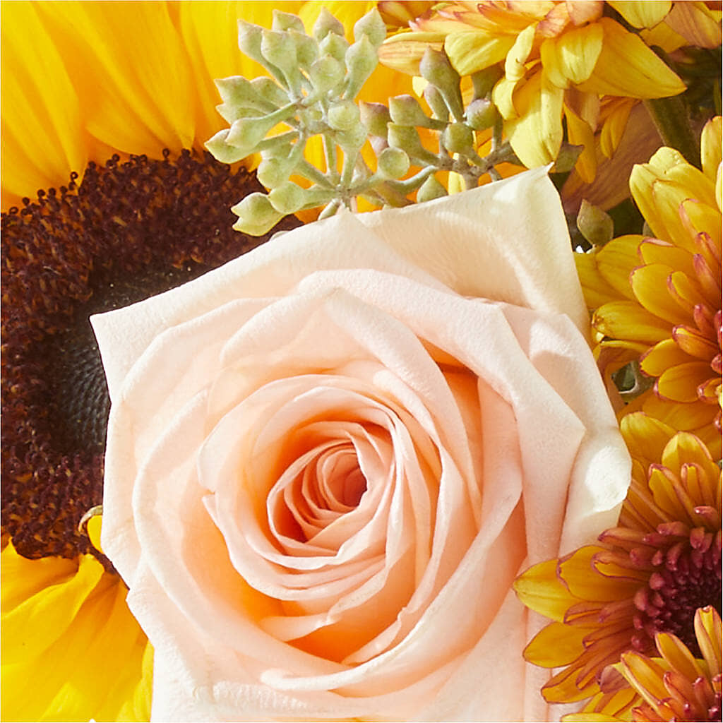 Pumpkin to Talk About Bouquet –  Creative Florist, Cherry Valley MA
