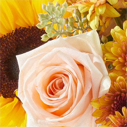 Pumpkin to Talk About Bouquet –  Creative Florist, Cherry Valley MA