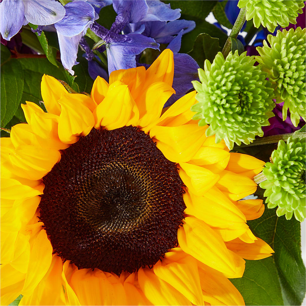 Catching Rays Bouquet –  Creative Florist, Cherry Valley MA