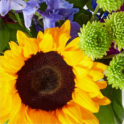 Catching Rays Bouquet –  Creative Florist, Cherry Valley MA