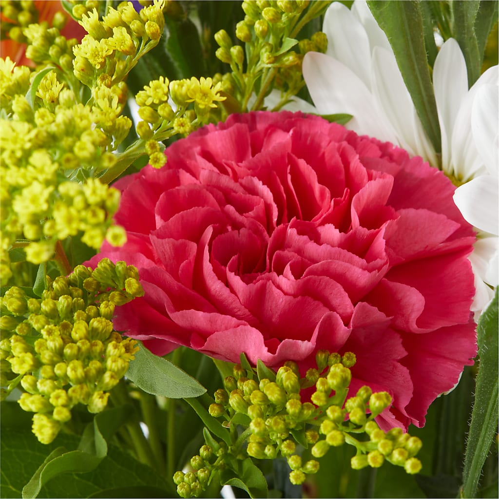 Oopsie Daisy Bouquet –  Creative Florist, Cherry Valley MA