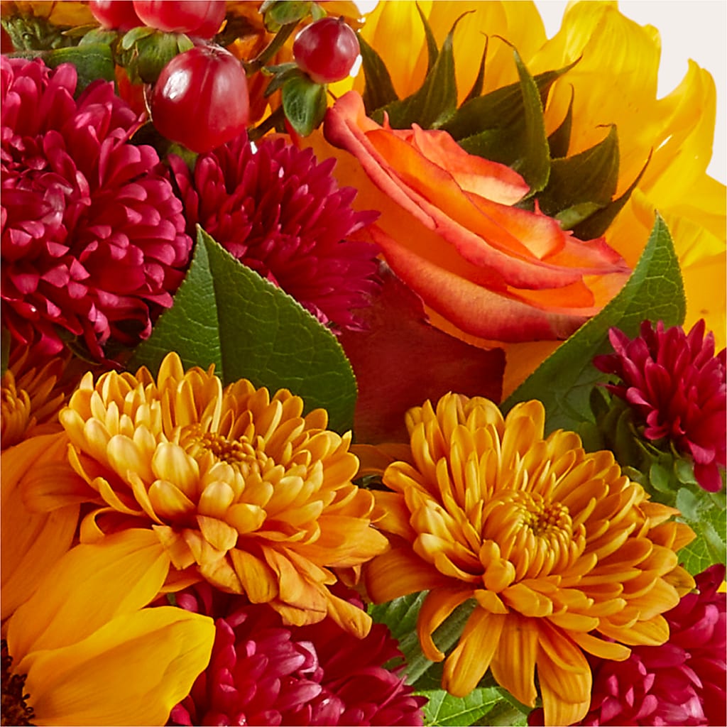 Sweater Season - A Florist Original –  Creative Florist, Cherry Valley MA