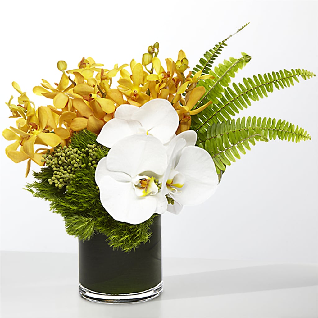 The Tropics –  Creative Florist, Cherry Valley MA