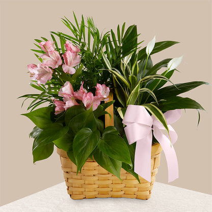 Living Spirit Dishgarden –  Creative Florist, Cherry Valley MA