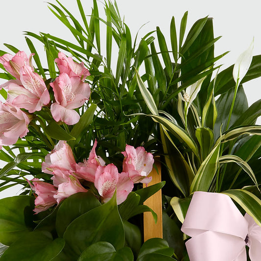 Living Spirit Dishgarden –  Creative Florist, Cherry Valley MA