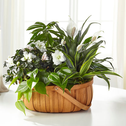 Serene Dishgarden –  Creative Florist, Cherry Valley MA