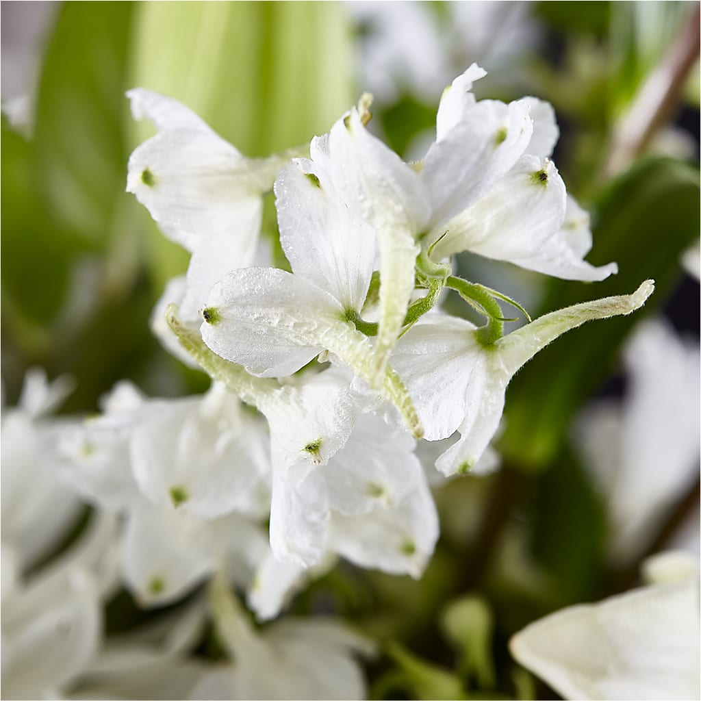 Classic Ivory – A Florist Original –  Creative Florist, Cherry Valley MA