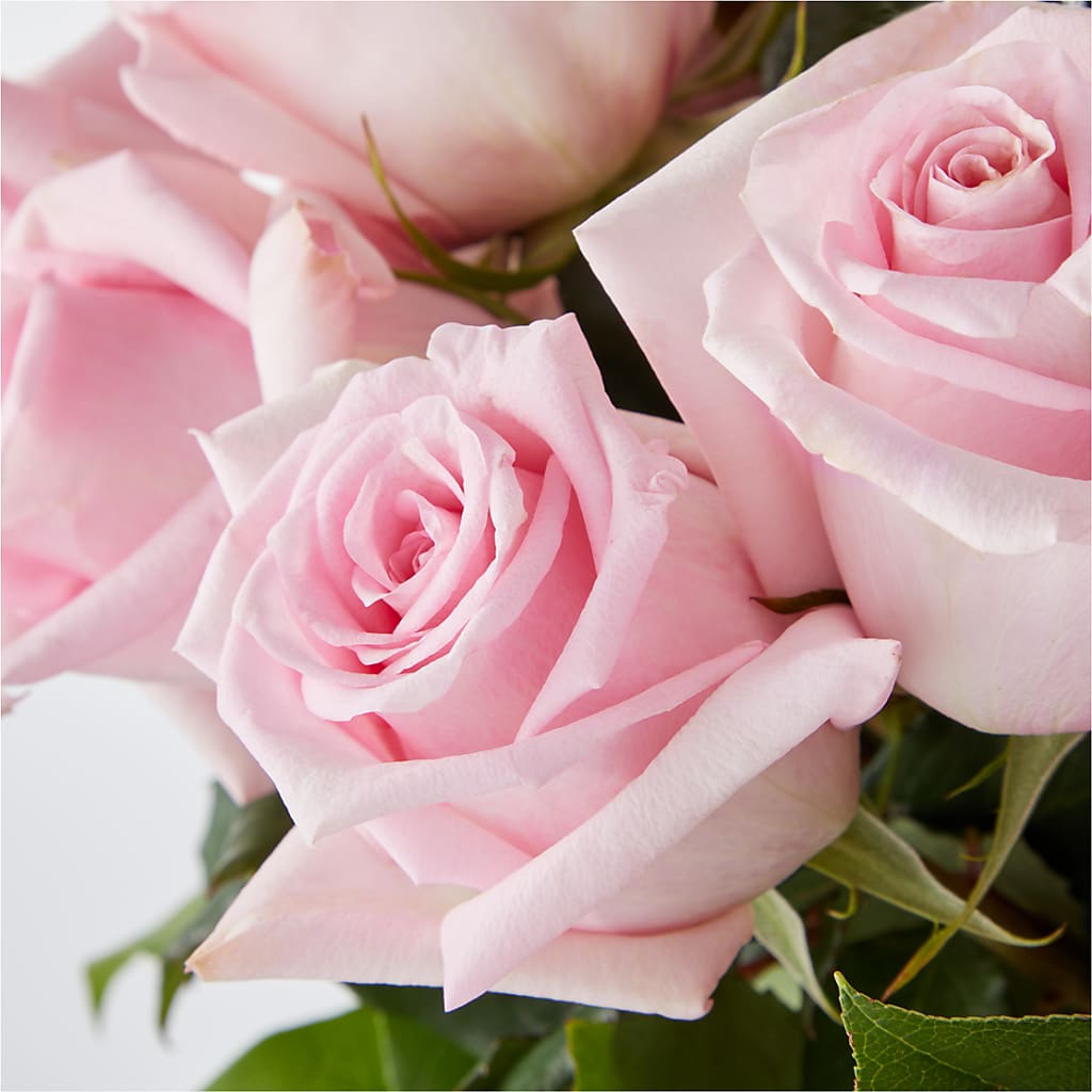 Picture Perfect Pink Rose Bouquet –  Creative Florist, Cherry Valley MA
