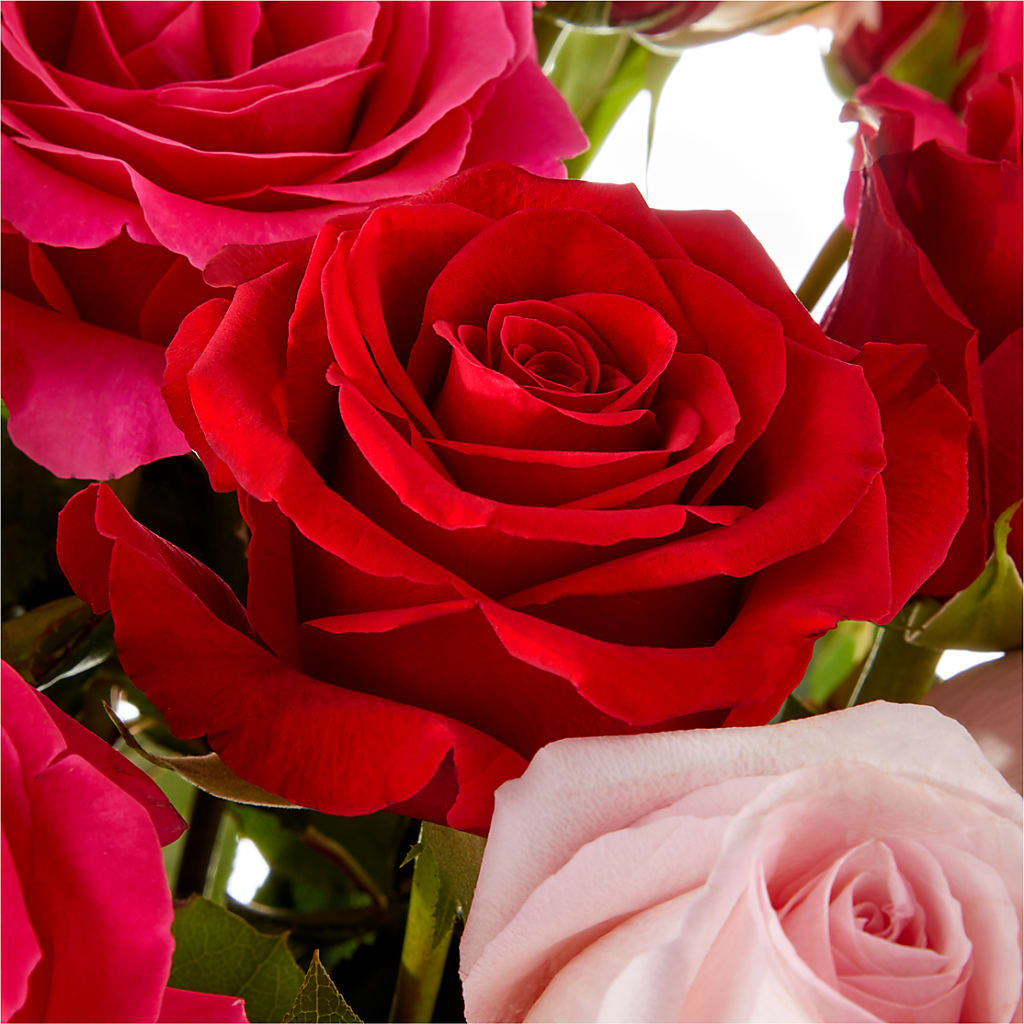 Love Notes Rose Bouquet –  Creative Florist, Cherry Valley MA