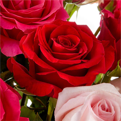Love Notes Rose Bouquet –  Creative Florist, Cherry Valley MA
