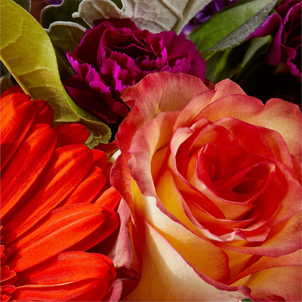 Sangria Bouquet –  Creative Florist, Cherry Valley MA