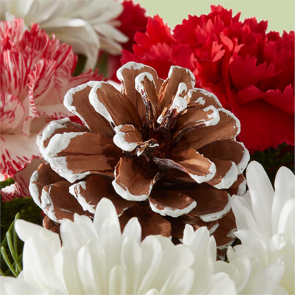 Candy Cane Lane Bouquet –  Creative Florist, Cherry Valley MA
