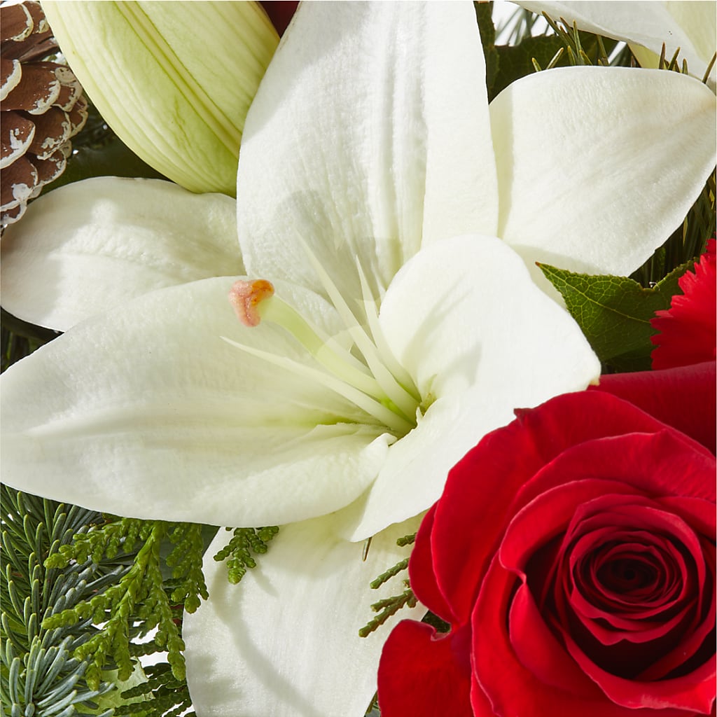 Oh So Jolly Bouquet –  Creative Florist, Cherry Valley MA